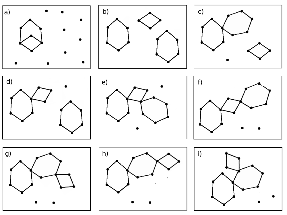 The 9 different networks with 16 nodes, composed of 2 rings with 6 nodes and 1 ring with 4 nodes.
